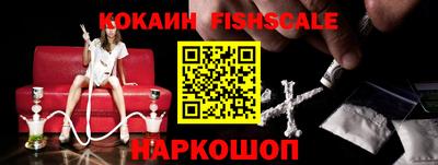 стаф Донецк