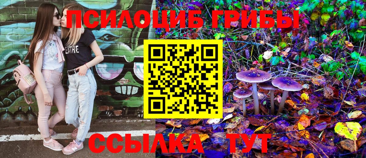Галлюциногенные грибы GOLDEN TEACHER  Псилоцибиновые грибы MAGIC MUSHROOMS  Можайск  Вход с VPN 