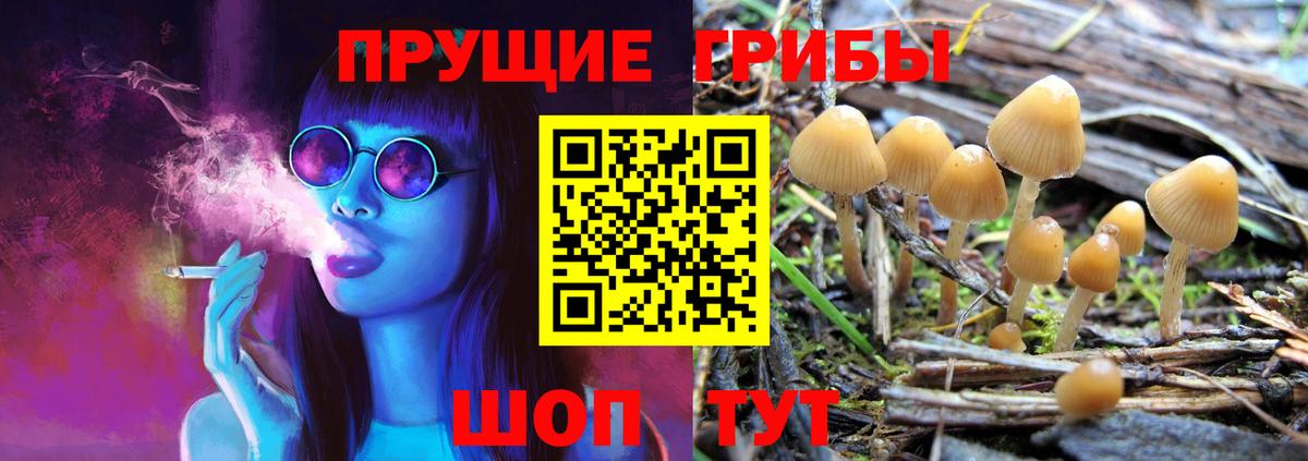 Псилоцибиновые грибы мицелий Можайск